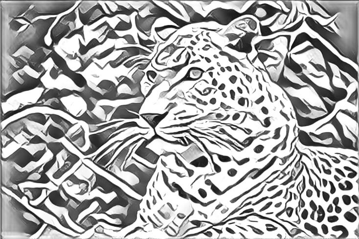 Close-up view of a leopard laying down. Converted the photo into a drawing.